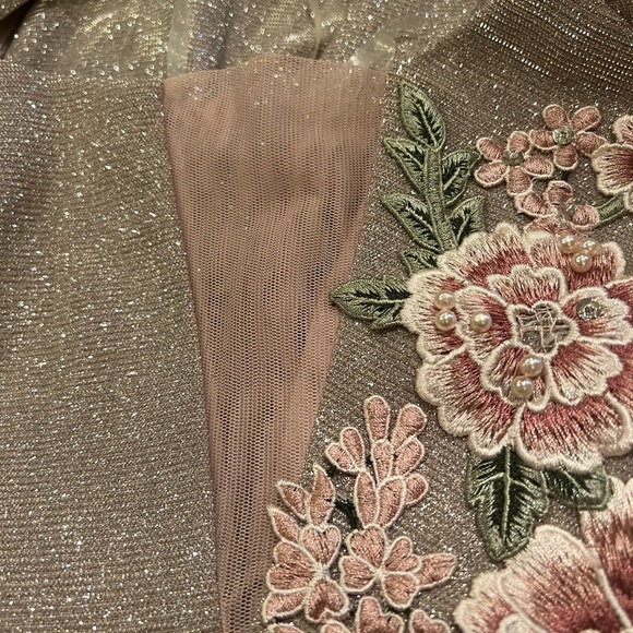 Social Couture Blush Pink Sparkly Dress - Picture 8 of 17